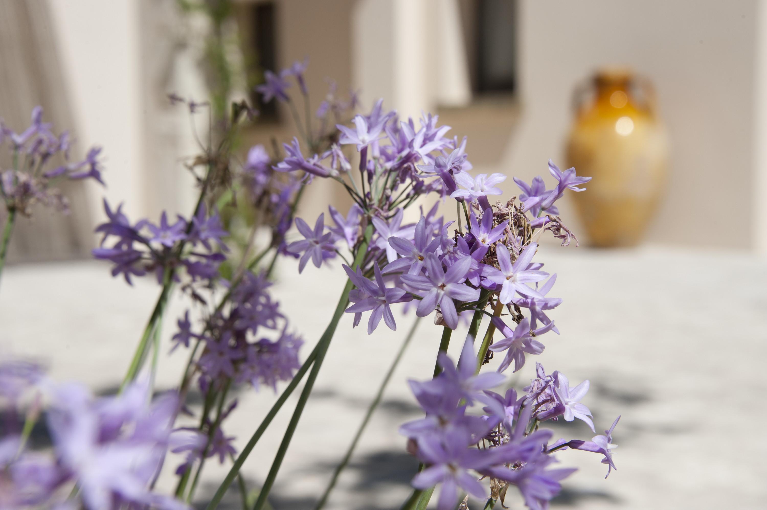 Masseria Panareo Otranto Eksteriør bilde